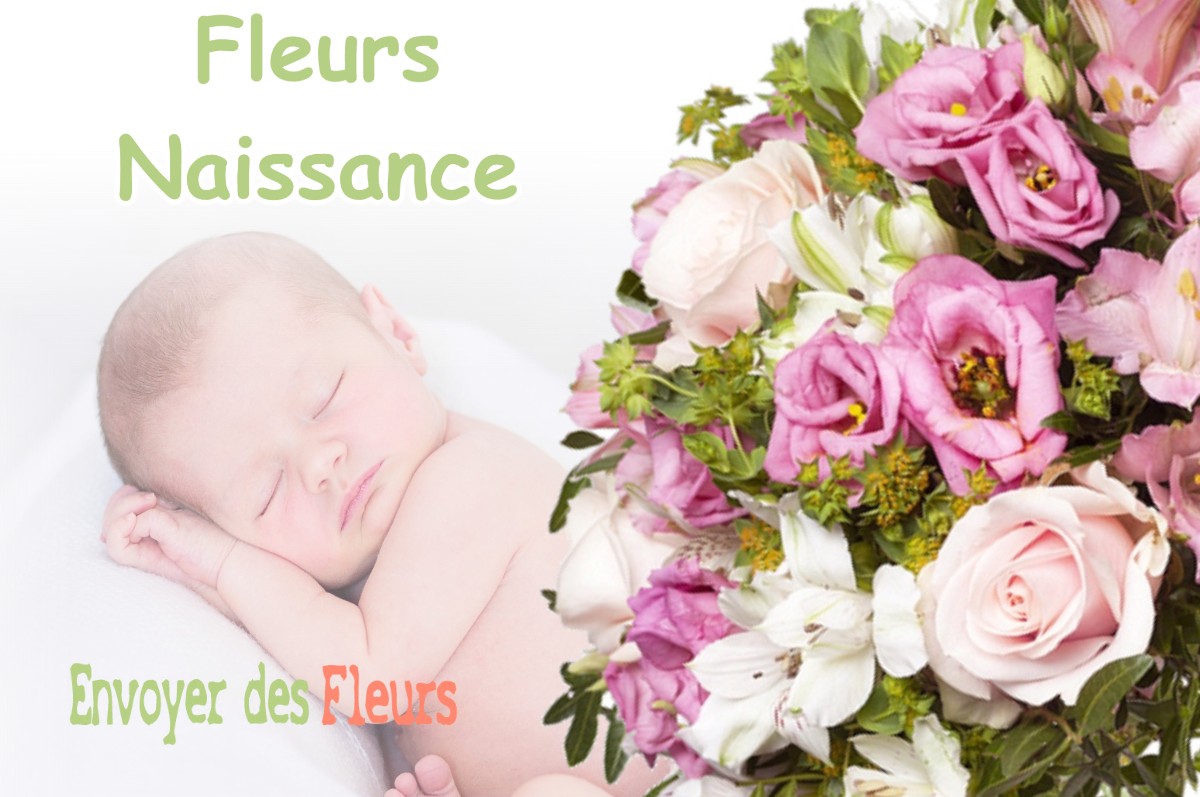 lIVRAISON FLEURS NAISSANCE à TREPT